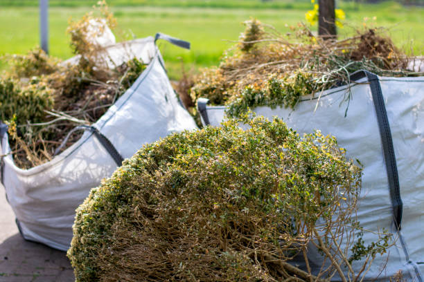 Demolition Debris Removal in Pinewood Estates, TX